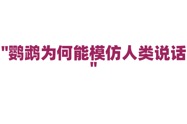 "鹦鹉为何能模仿人类说话"